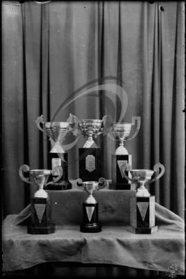 Troféus de torneio de tiro ao prato