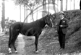 Retrato de homem com cavalo