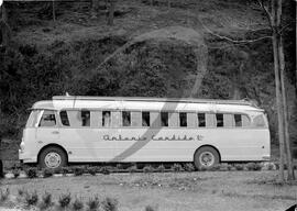 Camionetes amarelas