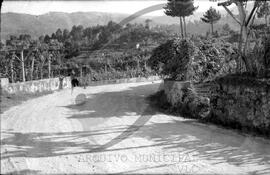 Estrada