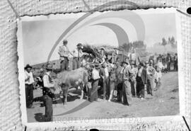 Retrato de grupo