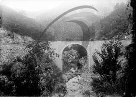 Ponte de Arões