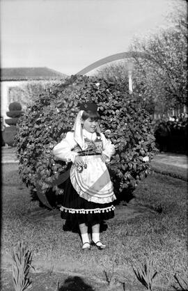 Carnaval de 1967