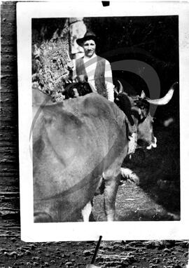 Retrato de homem com gado bovino