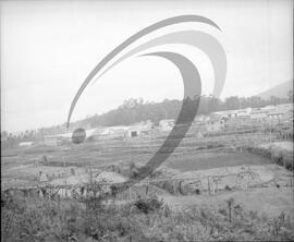 Ferpinta