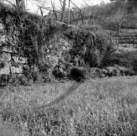 Paisagem rural