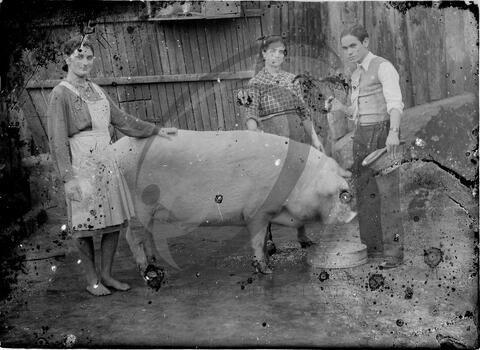 Original Digital object not accessible