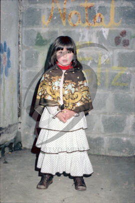 Carnaval de 1983