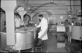 Lacto Lusa, Lda, cuba mecânica para fabrico de queijo