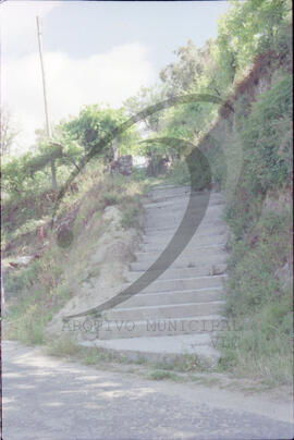 Paisagem rural