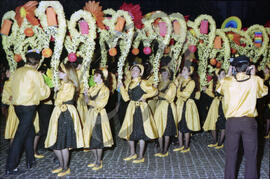 Marchas de Santo António