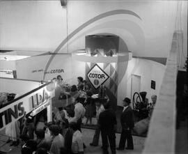 Lacti 79, Cafés Cotor