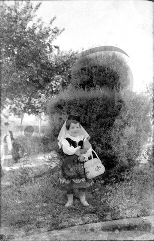 Original Digital object not accessible
