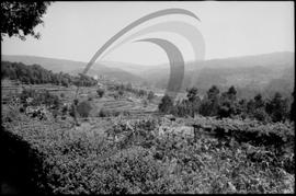 Paisagem rural