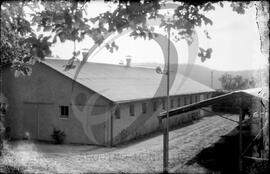 Vacaria e pocilga de Abel Tavares Pinho