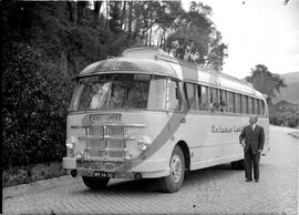 Camionetes amarelas