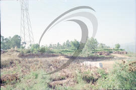 Paisagem rural