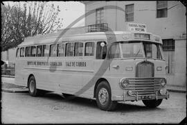 Camionetes Amarelas