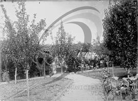 Jardim da Casa das Cerejeiras