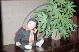 Carnaval de 1983