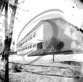 Externato Alexandre Herculano