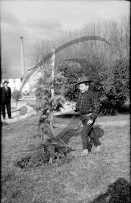 Carnaval de 1967