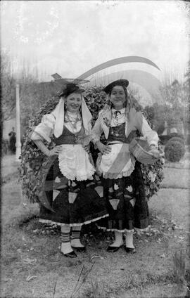 Carnaval, Cortejo de Macieira de Cambra