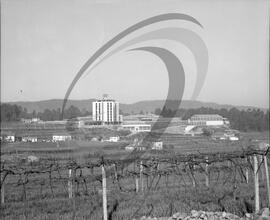 Uniagri