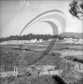 Ferpinta