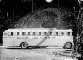 Camionetes amarelas