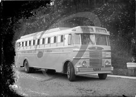 Camionetes amarelas