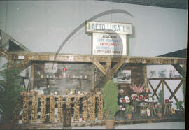 Lacti 79, Lacto Lusa, Lda