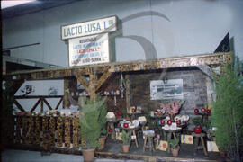 Lacti 79, Lacto Lusa, Lda