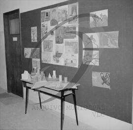 Exposição da Escola Preparatória Afonso Anes de Cambra
