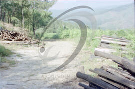 Paisagem rural