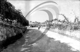 Estrada