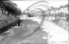 Estrada