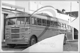 Camionetes amarelas