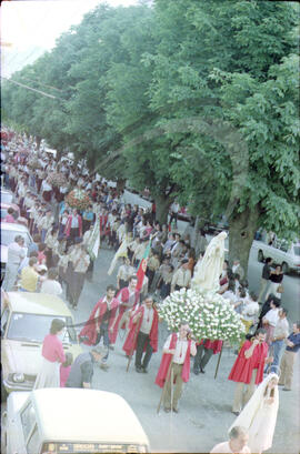 Procissão de Santo António, padroeiro de Vale de Cambra
